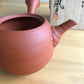 Premium Handmade Tea Pot Kyusu - Tokoname Yaki  - Murakoshi Fugetsu - MF02